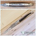 Coltello pieghevole in turchese LAGUIOLE en AUBRAC: prezzi e